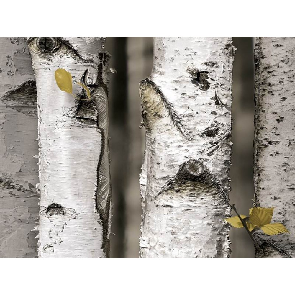 Natural Duvar Kağıdı 87009-1