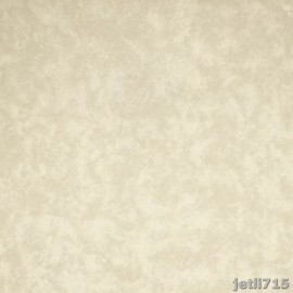 Forever Plus Duvar Kağıdı 16652