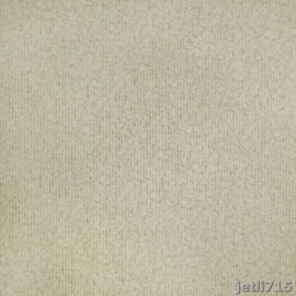 Forever Plus Duvar Kağıdı 19122