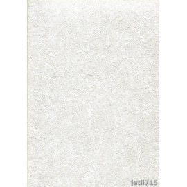 Genesis Duvar Kağıdı 4300-1