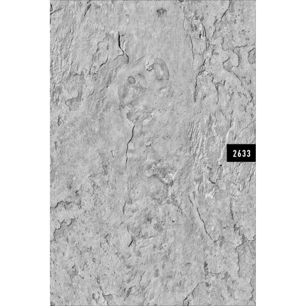 Natural Collction 2633