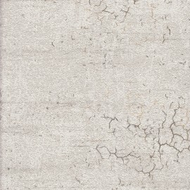 Papro Hit Vol2 Duvar Kağıdı 19015-1