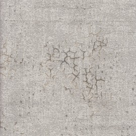 Papro Hit Vol2 Duvar Kağıdı 19015-5