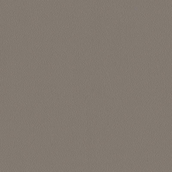 24201-19 Hue Duvar Kağıdı