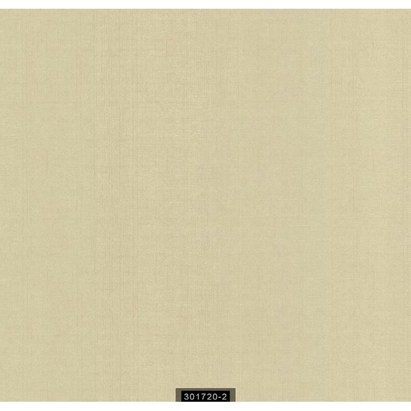 301720-2 Contract Duvar Kağıdı ile Ofis ve Ticari Alanlarınızı Şıklaştırın