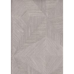 9500-6 Titanium Duvar Kağıdı