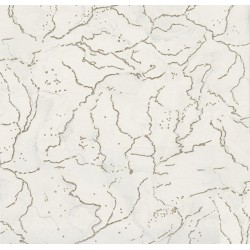 22523-4 Kalsedom Duvar Kağıdı