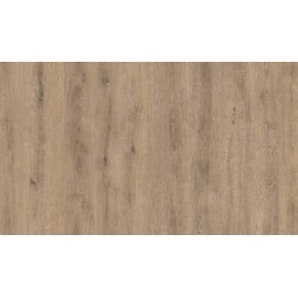 Silver Sakarya Meşe