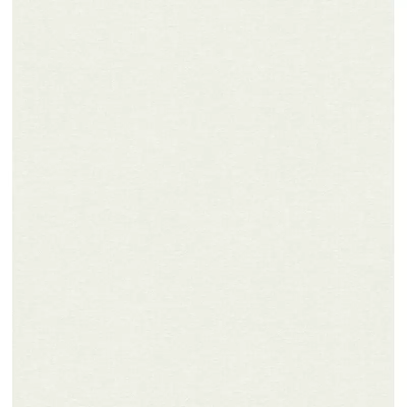 3716-1 Alfa Duvar Kağıdı | Modern ve Şık Duvar Kaplaması