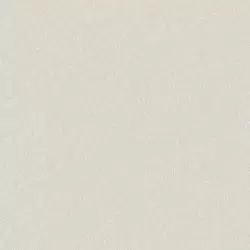 1410-3 Rococo Duvar Kağıdı