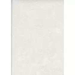 30201-2 Ambiance Duvar Kağıdı