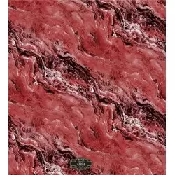 4220-6 Motto Duvar Kağıdı