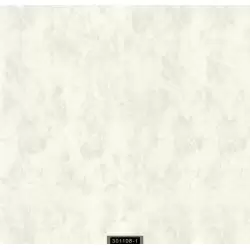 301108-1 Contract Duvar Kağıdı ile Ofis ve Ticari Alanlarınızı Şıklaştırın