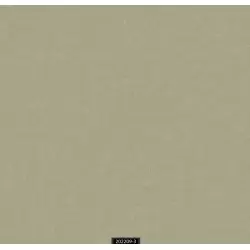 202209-3 Kahkashan Duvar Kağıdı ile Zarafet ve Estetiği Buluşturun