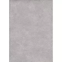 288955-5 Vesta Duvar Kağıdı – Modern Şıklığı Mekanlarınıza Taşıyın